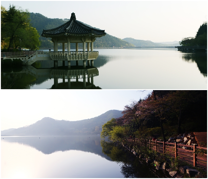 58년 무술생 개띠들이 4월 15일 구미에 모였다.