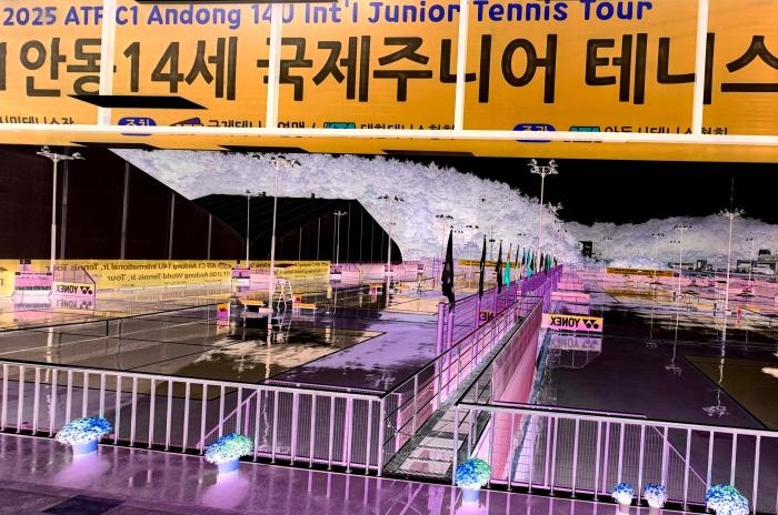 "판은 우리 어른들이 깔테니 주니어들은 밤톨 줍듯 열심히 포인트를 주워라"  기사 이미지