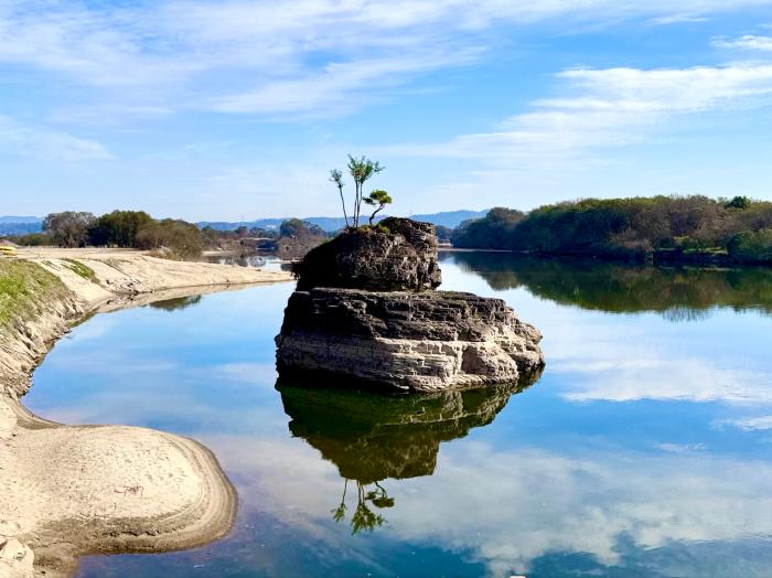 부자 1번지라 피도 많이 나나?  기사 이미지