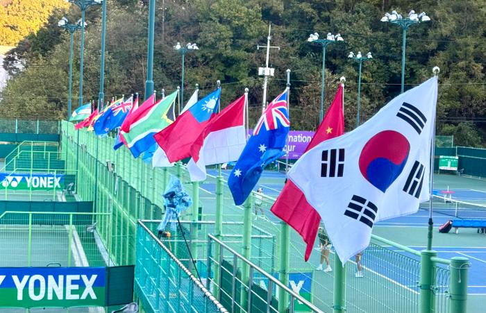 6천만원 들여 6억원을 아끼는 안동 기사 이미지